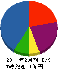 藤新開発 貸借対照表 2011年2月期