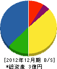 日東電気工事 貸借対照表 2012年12月期