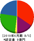 日本ハイコン 貸借対照表 2010年6月期