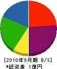 敷島建設 貸借対照表 2010年9月期
