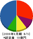 増田電気 貸借対照表 2008年6月期