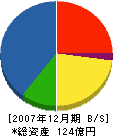 日本フェンオール 貸借対照表 2007年12月期