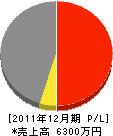 辻村建設 損益計算書 2011年12月期