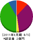 豊島産業 貸借対照表 2011年6月期