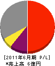 新日本技建 損益計算書 2011年6月期