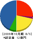 河田建設 貸借対照表 2009年10月期