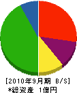 中村防災 貸借対照表 2010年9月期