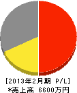津山サービス 損益計算書 2013年2月期