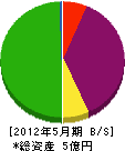 袴建設 貸借対照表 2012年5月期