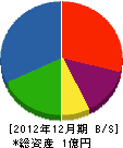 大嶋組 貸借対照表 2012年12月期