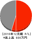 駒井組 損益計算書 2010年12月期