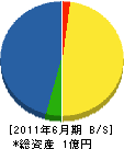 中本工務店 貸借対照表 2011年6月期