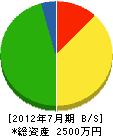 松田建設 貸借対照表 2012年7月期