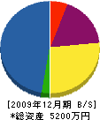 芦沢電気商会 貸借対照表 2009年12月期
