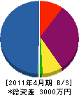 東海ライズ 貸借対照表 2011年4月期