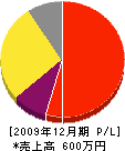 池田畳店 損益計算書 2009年12月期