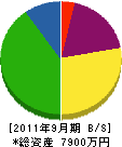 津島電工 貸借対照表 2011年9月期