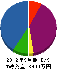 小川建設 貸借対照表 2012年9月期
