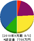 小紫建設 貸借対照表 2010年9月期