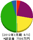 鈴木大建興業 貸借対照表 2012年3月期
