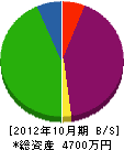 鈴木設備工業 貸借対照表 2012年10月期