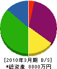 三崎電気 貸借対照表 2010年3月期