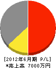 松尾設備 損益計算書 2012年6月期