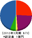 手塚工務店 貸借対照表 2012年3月期