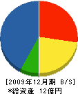 ミヤベ 貸借対照表 2009年12月期