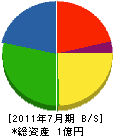 中央開発 貸借対照表 2011年7月期