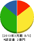 薮崎設備工業 貸借対照表 2013年3月期