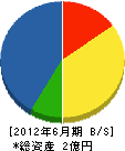 辻組 貸借対照表 2012年6月期
