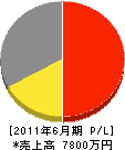 藤川産業 損益計算書 2011年6月期