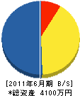 東亜海事土木 貸借対照表 2011年6月期