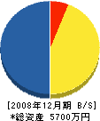 池川工務店 貸借対照表 2008年12月期