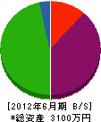 橋本設備 貸借対照表 2012年6月期
