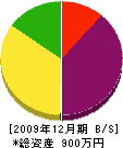 千葉組 貸借対照表 2009年12月期