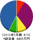 長崎板金工業 貸借対照表 2012年5月期