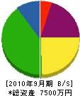西川組 貸借対照表 2010年9月期