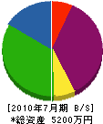 昭和電気商会 貸借対照表 2010年7月期