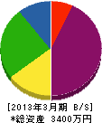 田島塗装興業 貸借対照表 2013年3月期