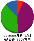沖縄メンテナンス 貸借対照表 2010年8月期