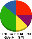近藤テクア 貸借対照表 2009年11月期