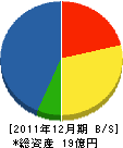 齋藤建設 貸借対照表 2011年12月期