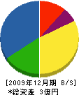 松坂屋建材 貸借対照表 2009年12月期