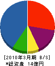 大青工業 貸借対照表 2010年3月期