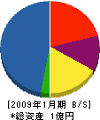 平沢事業所 貸借対照表 2009年1月期