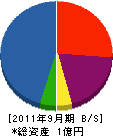 渡辺建設 貸借対照表 2011年9月期