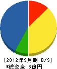 佐々木商会 貸借対照表 2012年9月期