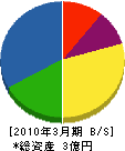桜井塗装工業 貸借対照表 2010年3月期